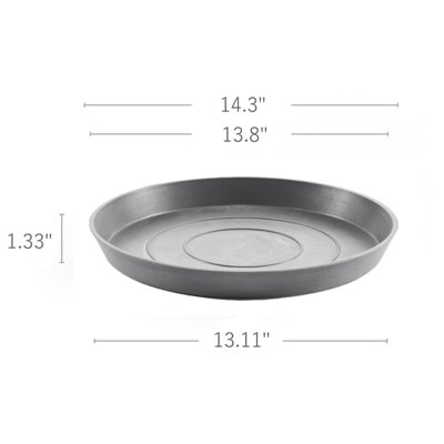 Saucer Plant Stand