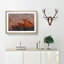 The Sydney Opera House - Picture Frame Painting Print-56712303-56712304
