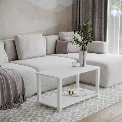 Shemari Solid Wood Coffee Table with Storage