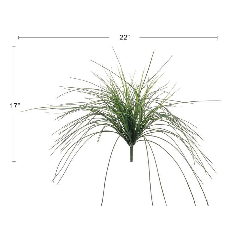 Scruggs 23'' Faux Mondo Grass Grass