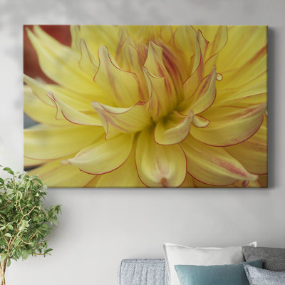 Toile tendue Blooms I-Gallery