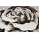 Viers Performance Floral Indoor Rug