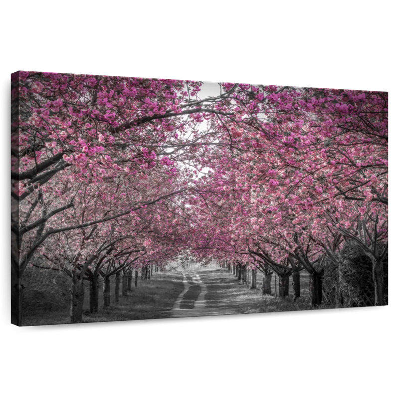 Harnek, belle allée de cerisiers en fleurs en rose, H 8 po x l 12 po