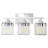 Monike 3-Light Dimmable Vanity Light -417506361-425953936