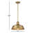Jeb 1 - Light Single Dome Pendant in Natural Brass-1325511439