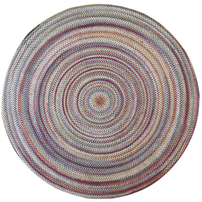 Antique American Braided Colorful Round Shape Area Rug