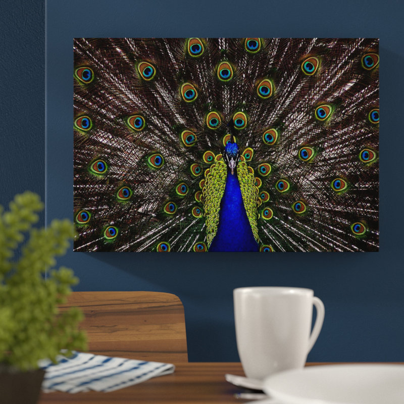 Peacock - Wrapped Canvas, 35cm H x 50cm W