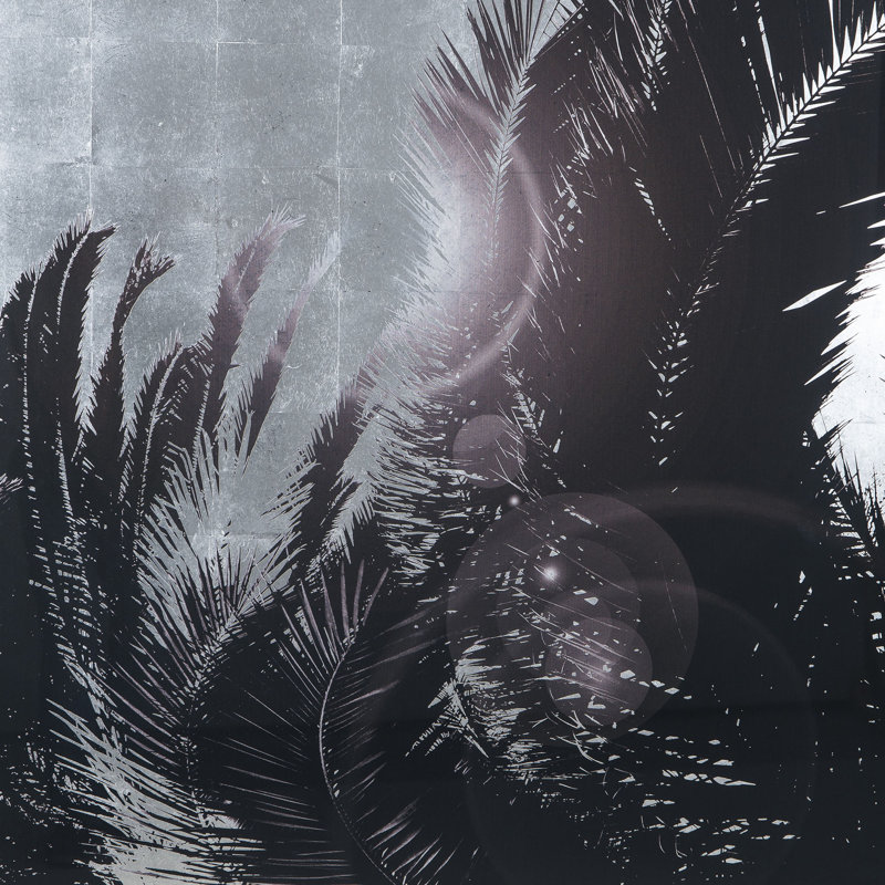Sliver Leaf Palm Tree A Print