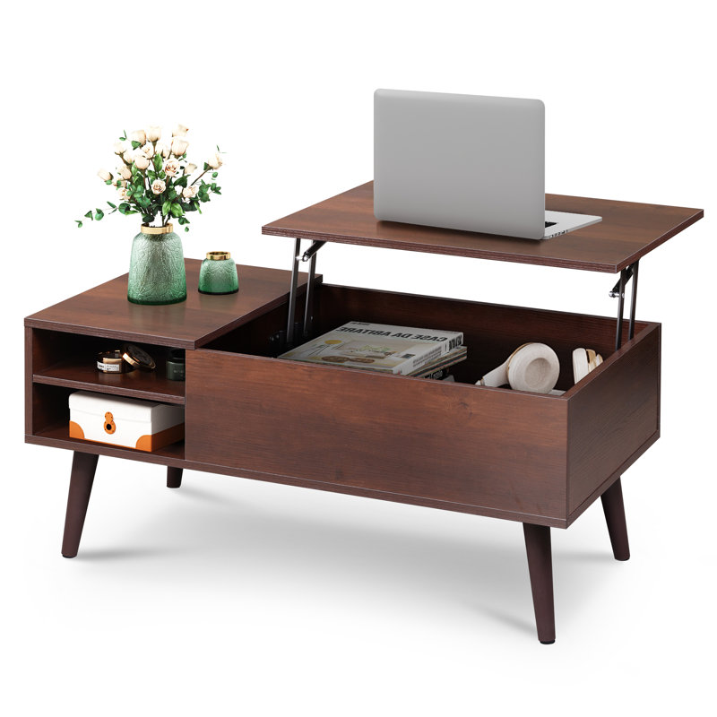 Eoghan Lift Top Coffee Table with Storage, Modern Coffee Tables with Adjustable Shelf, Square Wood Coffee Table for Living Room