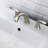 Bathroom Faucet with Drain Assembly