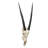 Gemsbok African Wall Trophies Sculpture
