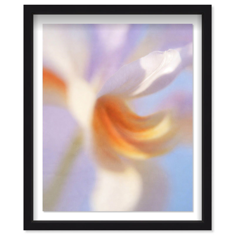 Blurred Venus II Print by Oliver Gal, 21.5"H x 25.5"W, Black Shadowbox