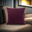 Nalaiyah Velvet Chenille Cushion Covers with Filler Pads-1687088845