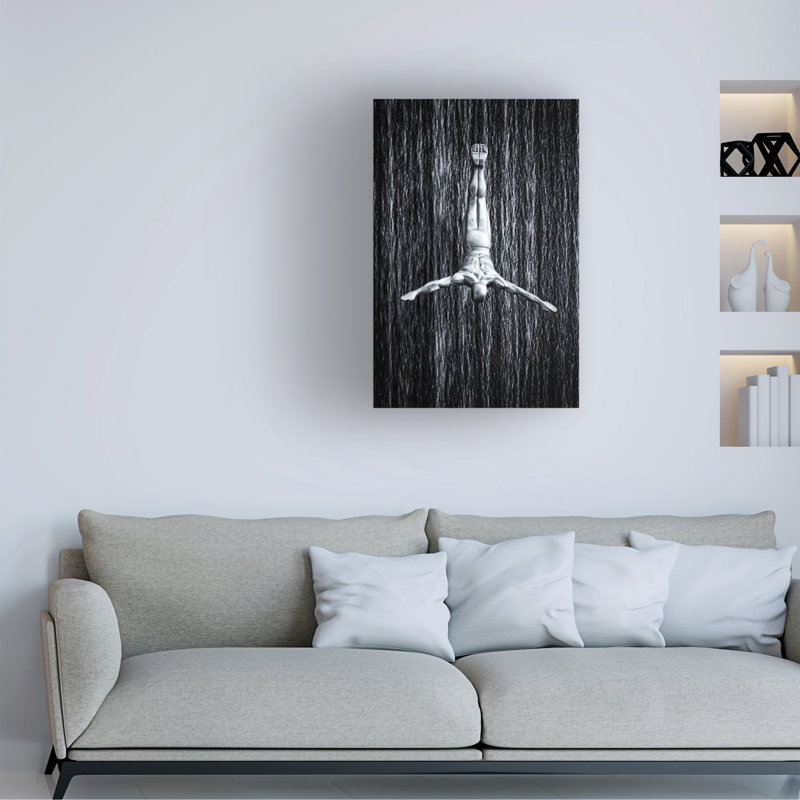Fine Diving Modern & Contemporary, 24" H x 16" W