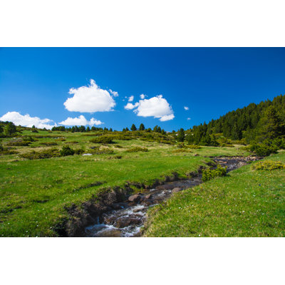 Peaceful Meadow by Magdalena Juillard - Wrapped Canvas Print