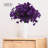 Delphinium Stems