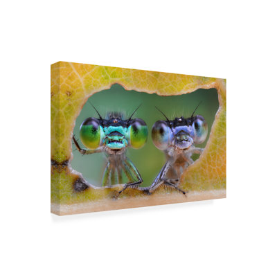 Bolog Alberto Ghizzi Panizza Two Nice Faces Canvas Art