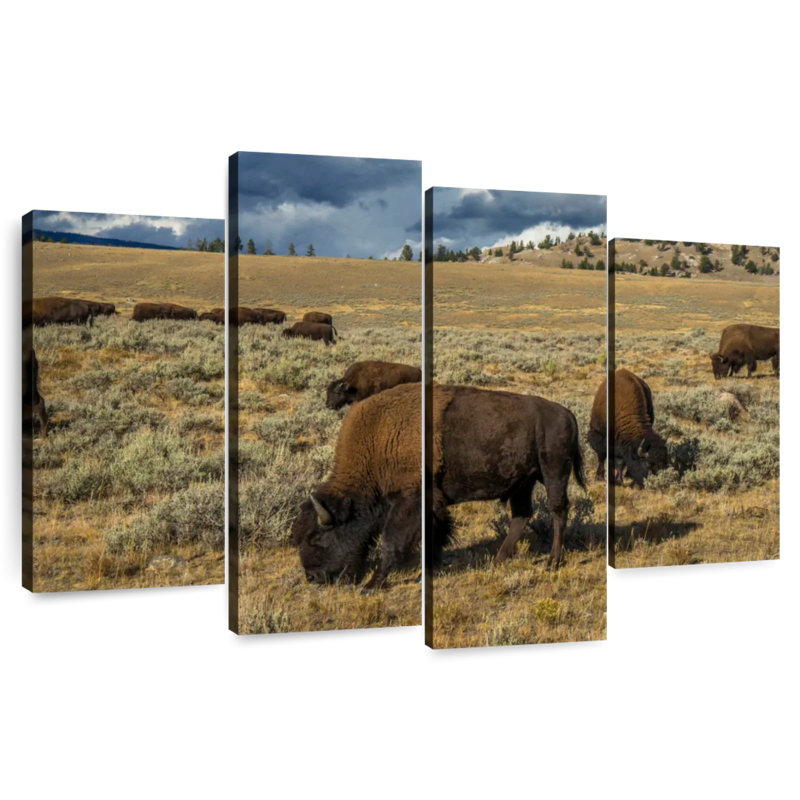 Brampt Yellowstone Bison, 32" H x 52" W