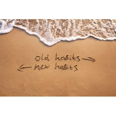 Changing Habits by Anyaberkut - Wrapped Canvas Print