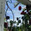 Photos des clients 1 de 2