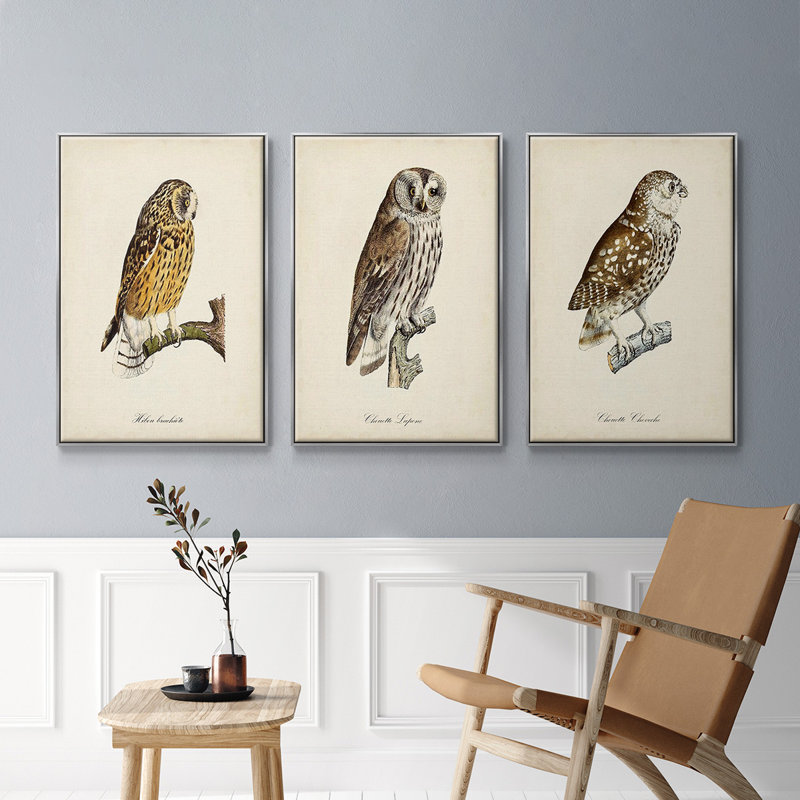 «French Owls I», ensemble de 3 toiles encadrées, H 36 po x l 72 po, Encadrement argenté