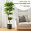 Amee 61" H Creative Shaped Faux Ficus Tree in Pot