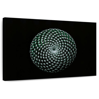 Harnek abstrait cactus