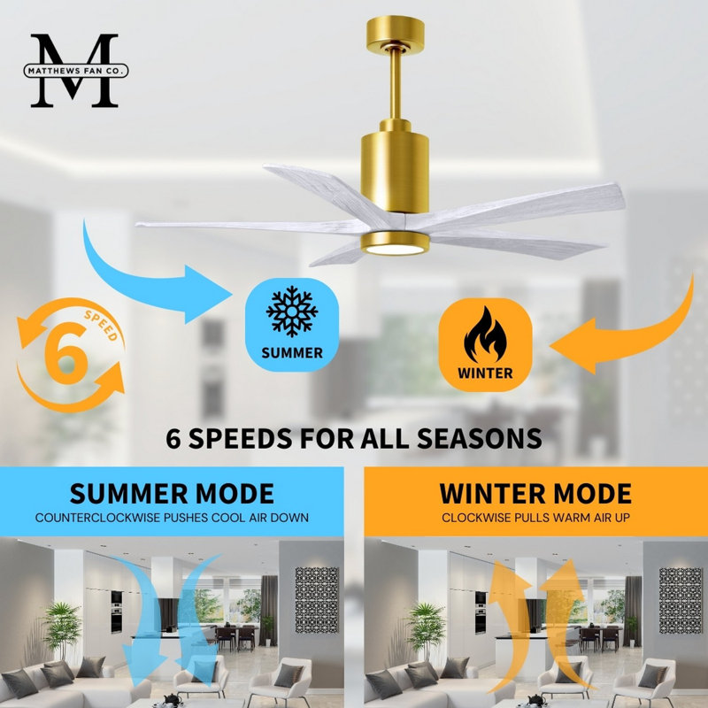 Patricia LED Downrod Ceiling Fan, Matte White, Brushed Brass