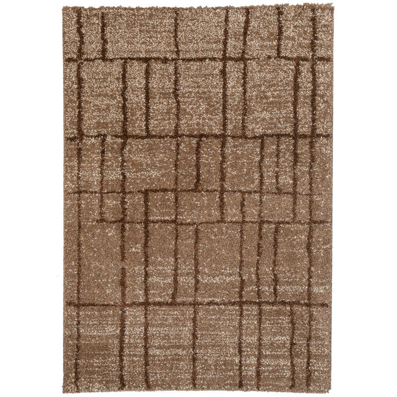 Risher Geometric Shag 120cm X 170cm Area Rug