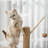 307.34cm H Cat Tree