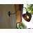 Rachit Wall Light-22239922-22239920