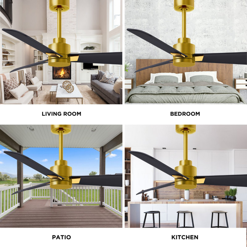 Alessandra Outdoor Downrod Ceiling Fan, Matte Black, Brushed Brass