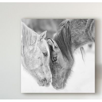 «Black and White Horses VII», reproduction de photo sur toile tendue