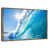 Floating Frame Gold