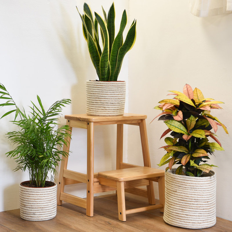 Indoor Planter Basket Natural Seagrass Three Set - 25cm, 20cm & 17cm Diameter, 25cm H x 25cm W x 25cm D, White