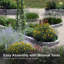 Jardin surélevé en plastique 4 pi x 4 pi Darja