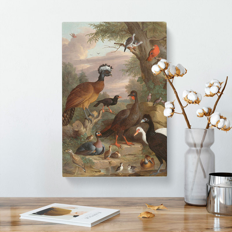 Collection Of Birds Vol.1 by Melchior D'Hondecoeter - Wrapped Canvas Painting, 76cm H x 50cm W x 3cm D