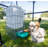 Hydration Station Chicken Waterer 6.5 Gallon
