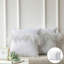 Coussin décoratif en plumes-1263361731-1263361753-1228598421