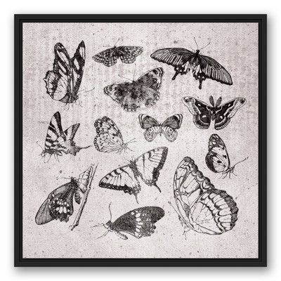 «Grayscale Butterflies», reproduction sur toile