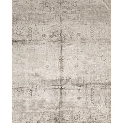 Neo Oriental Area Rug in Beige/Khaki