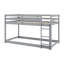 Lit superposé simple au-dessus d'un lit simple avec échelle, gris-692430193