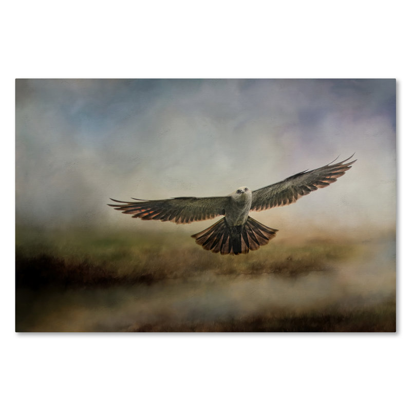 «Mississippi Kite in the Marsh» de Vidur, impression sur toile tendue, 16 po x 24 po
