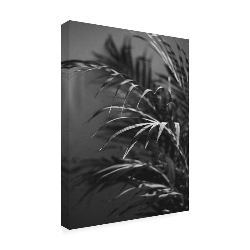 Design Fabrikken, plante noire, toile d'extérieur Fabrikken, H 19 po x l 14 po x P 1,5 po