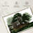 Lebanese Cedar Trees-242207586