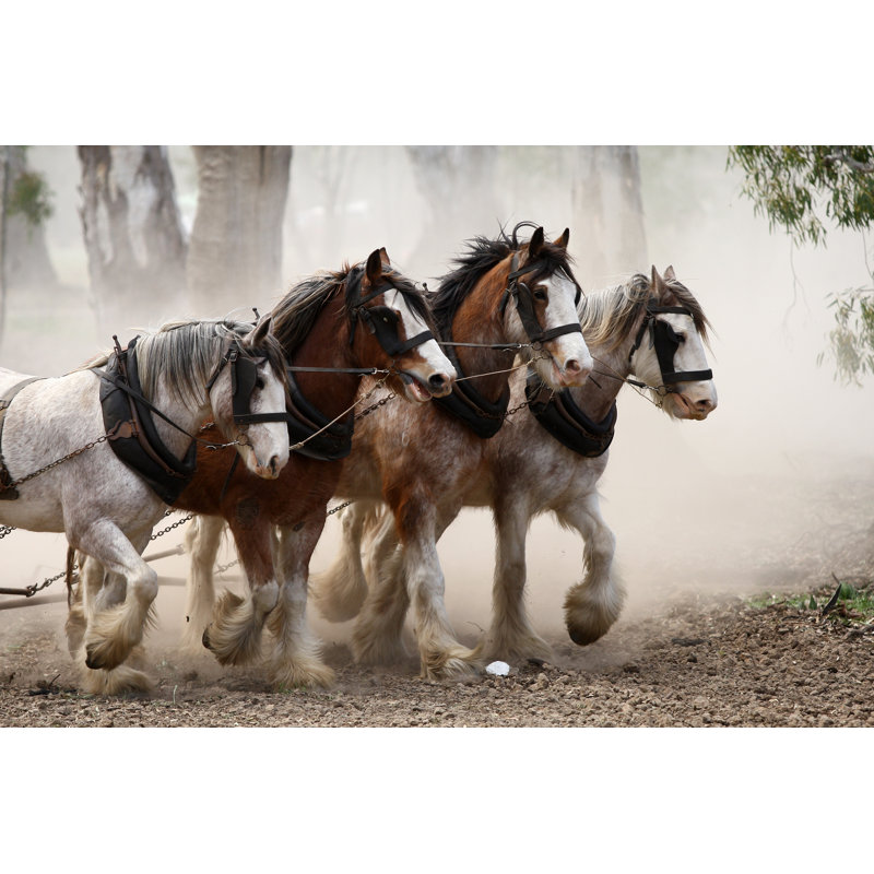 Horses by Shazzashaw - Wrapped Canvas Print, 20cm H x 30cm W
