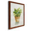 «Succulent I», reproduction sur toile-88451753-88451756
