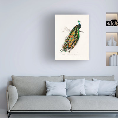 Bolog Charles Dessalines D Indian Peafowl Peacock Canvas Art