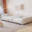 Sherpa Upholstered Twin Daybed – Cloud Backrest-2030062629-2030062626