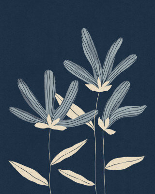 Wrapped Canvas Print, 121.92 cm H x 81.28 cm W